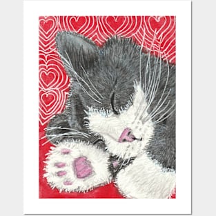 Sleeping kitten cat Posters and Art